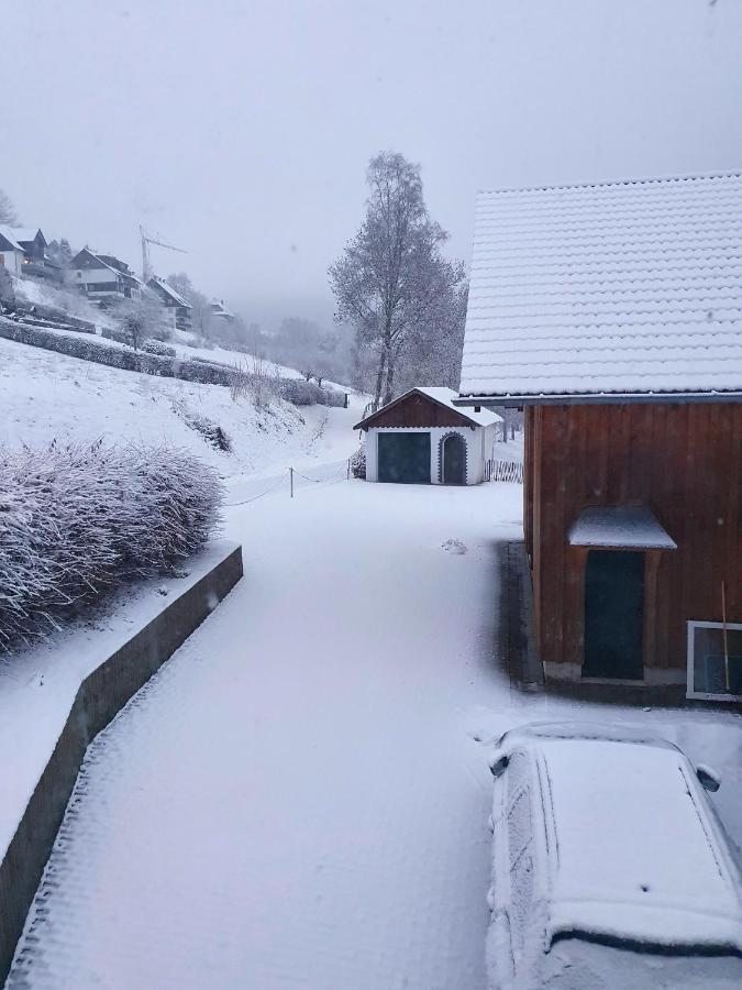 Ferienhaus Grimme - 350M2, 18 Betten - Mit Indoorspielplatz, Pool, Grosser Terrasse, Grill, Sauna, Kicker, Dart, Uvm - Ideal Fuer Familien Schmallenberg Exterior foto