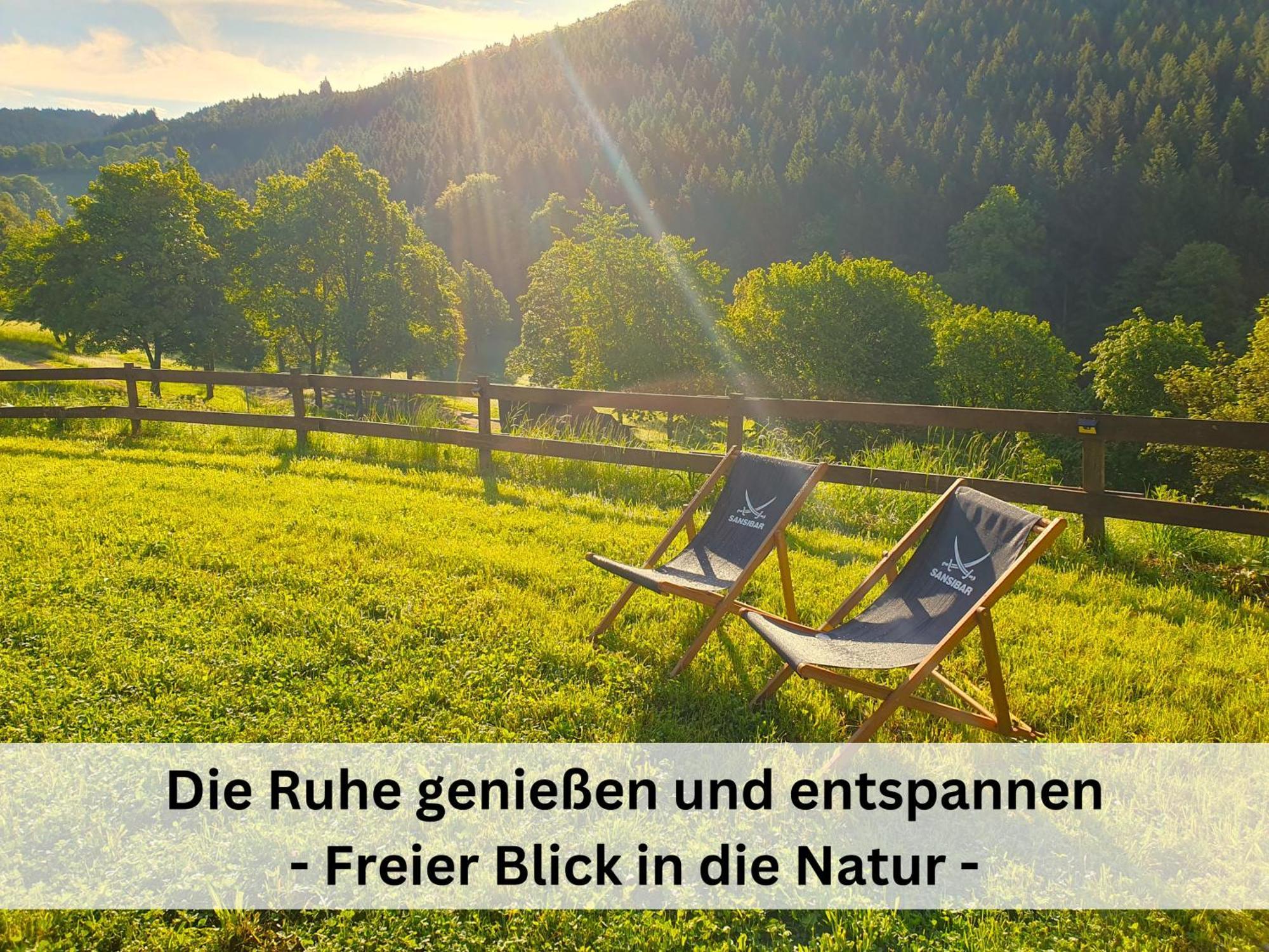 Ferienhaus Grimme - 350M2, 18 Betten - Mit Indoorspielplatz, Pool, Grosser Terrasse, Grill, Sauna, Kicker, Dart, Uvm - Ideal Fuer Familien Schmallenberg Exterior foto